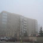 A Foggy Morning
 /  